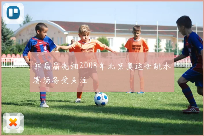 郭晶晶亮相2008年北京奥运会跳水赛场备受关注
