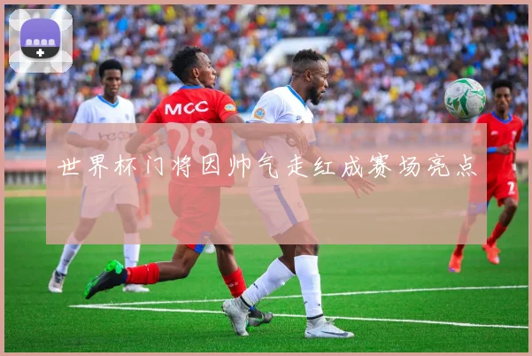 世界杯门将因帅气走红成赛场亮点