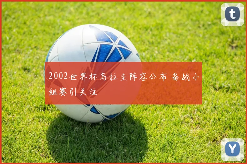 2002世界杯乌拉圭阵容公布 备战小组赛引关注